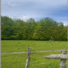 Teren investitie Traisteni 5000 mp, intravilan thumb 3