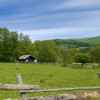 Teren investitie Traisteni 5000 mp, intravilan thumb 4