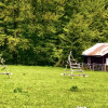Teren investitie Traisteni 5000 mp, intravilan thumb 5
