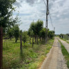 Teren Intravilan - Str. Gorganu, Calinesti - 1268 mp! thumb 3