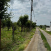 Teren Intravilan - Str. Gorganu, Calinesti - 1268 mp! thumb 6