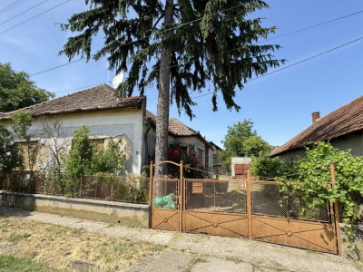 Casă 3 camere, Teren 1079 mp Berveni SM - Comision 0% cumpărător
