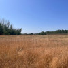 Teren agricol cu potential – 24.834 mp, zona Podul Jiului thumb 2