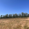Teren agricol cu potential – 24.834 mp, zona Podul Jiului thumb 5