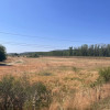 Teren agricol cu potential – 24.834 mp, zona Podul Jiului thumb 10