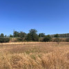Teren agricol cu potential – 24.834 mp, zona Podul Jiului thumb 11