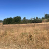 Teren agricol cu potential – 24.834 mp, zona Podul Jiului thumb 12