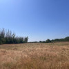 Teren agricol cu potential – 24.834 mp, zona Podul Jiului thumb 14