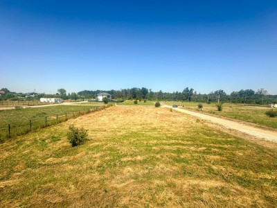 Teren 1116 mp gulia Eden Forest