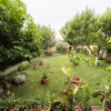 Casă duplex multifuncțională -Hanul Doctorului -lângă Școala Româno Britanică thumb 14