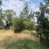 Teren 2436  mp intravilan, Serbanesti/Rociu, jud. Arges. Comision 0% thumb 5