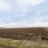 Teren 8973 mp intravilan loc. Albota, jud. Arges. Comision 0% thumb 2