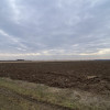 Teren 8973 mp intravilan loc. Albota, jud. Arges. Comision 0% thumb 3