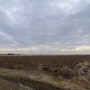 Teren 8973 mp intravilan loc. Albota, jud. Arges. Comision 0% thumb 5