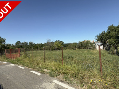 Teren generos de 1350 mp Budeasa Galasesti -Arges!