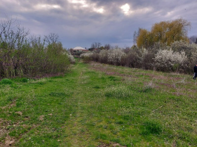 Teren Topoloveni - 3670 mp - langa padure, aproape de Centrul orasului 
