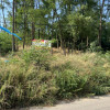 Teren 912 mp Hintesti panorama superba la padure thumb 2