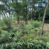 Teren 912 mp Hintesti panorama superba la padure thumb 3