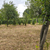 Terenuri intravilane alipibile în Runcu, zonă cu potențial thumb 5