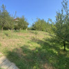 Casa ta de vis la 10 km de Mioveni. Comision 0% thumb 14