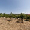 0% Comision !!  CASA PODUL BROSTENI - ARGES thumb 10