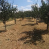 0% Comision - 2095 mp TEREN INTRAVILAN - SERBOENI ARGES thumb 4