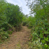 Teren 2552 mp Mosoaia Hintesti -Strada  Basangesti thumb 3