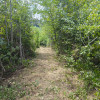 Teren 2552 mp Mosoaia Hintesti -Strada  Basangesti thumb 4