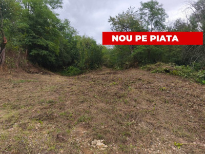 Teren intravilan Mosoaia - Hintesti
