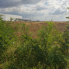 TEREN  - CATEASCA thumb 1