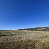 Teren de vanzare intravilan – Ciolpani, zona Izvorani, comision 0%  thumb 6