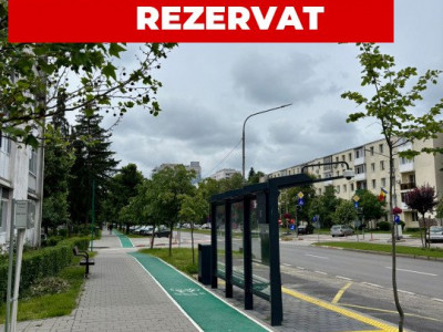 Apartament 2 camere, decomandat, zona centrală, izolat termic, centrală
