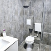 Penthouse de inchiriat-Marasti(Cinema Marasti) thumb 27