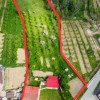 Casa cu teren generos si gradina spectaculoasa – Comuna Cuca, Argeș! thumb 3