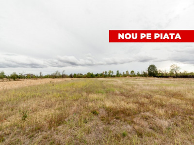 Teren intravilan 3000 mp, Oarja, Arges – amplasament excelent