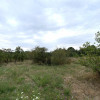 Teren intravilan 1.765 mp in Poiana Lacului, AG thumb 3