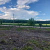 Teren intravilan 1843 mp - Cerbu/Albota/Arges - cu proiect de casa pe parter  thumb 3