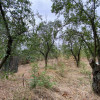 Teren 3000mp intravilan in Mavrodolu, AG thumb 4