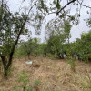 Teren 3000mp intravilan in Mavrodolu, AG thumb 5
