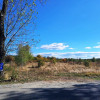 TEREN INTRAVILAN ȘI EXTRAVILAN BAIA DE FIER thumb 3