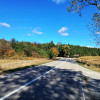 TEREN INTRAVILAN ȘI EXTRAVILAN BAIA DE FIER thumb 9