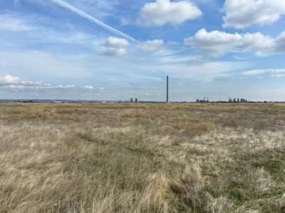 Teren 10000 mp - Albota Papillon, zona industriala in plina dezvoltare