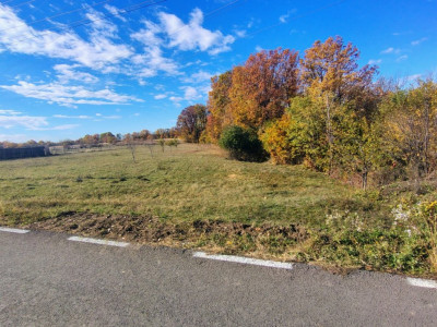 Terenuri intravilane Comuna Mosoaia