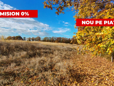 Terenuri intravilane Comuna Mosoaia