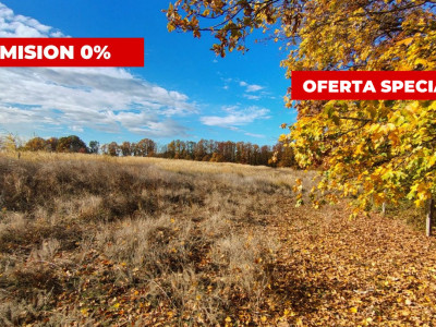 Terenuri intravilane Comuna Mosoaia