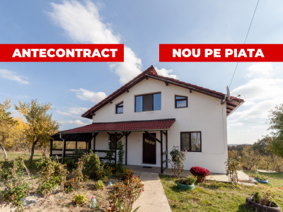 Casa P+M cu teren 2788 mp COCU -RACHITELE ARGES