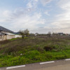 Teren intravilan 634 mp Domnești imaginea mica 2 Teren intravilan 634 mp Domnești thumb 2