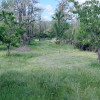 Teren extravilan de vânzare – Stănești, 3.861 mp, livadă de cireși imaginea mica 10 Teren extravilan de vânzare – Stănești, 3.861 mp, livadă de cireși thumb 10