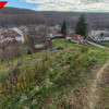Teren generos cu casa veche si priveliste spre padure – Mioveni, zona Faget thumb 7