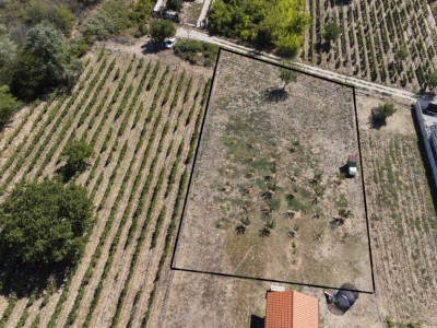 Oportunitate dezvoltare rezidentiala – teren 2000 mp intravilan